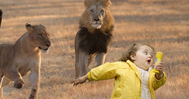 Mơ Thấy Bị Rượt Đuổi Đánh Số Gì? Báo Hiệu Điềm Gì? 4 Cách “giữ vía” và tận dụng vận may sau giấc mơ rượt đuổi