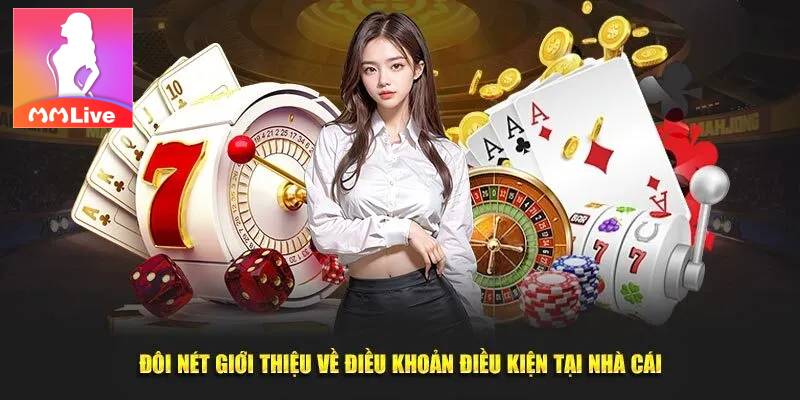 Điểu Khoản Và Điều Kiện 3 Vì sao điều khoản rất quan trọng – bạn không nên bỏ qua